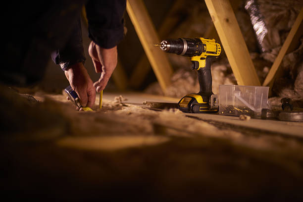 Best Insulation Removal  in Ellisburg, NJ