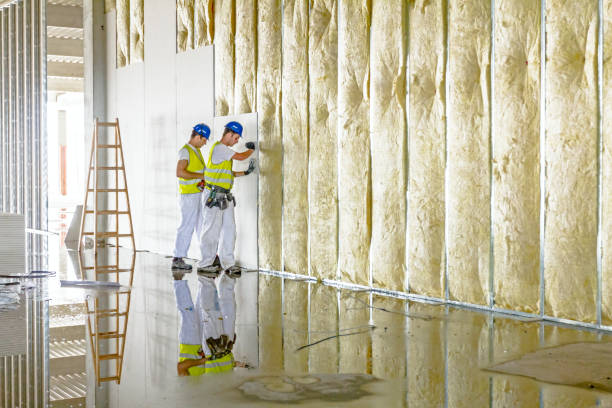 Professional Insulation Contractor in Ellisburg, NJ